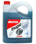 Motul_Inugel_Cla_505ae4791713c